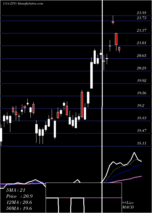  Daily chart ZtoExpress