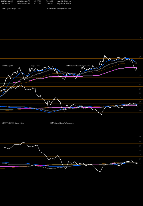 Trend of Blackrock Municipal BYM TrendLines Blackrock Municipal Income Quality Trust BYM share USA Stock Exchange 