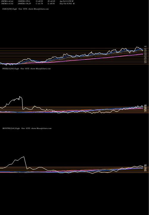 Trend of Shoe Carnival SCVL TrendLines Shoe Carnival, Inc. SCVL share USA Stock Exchange 