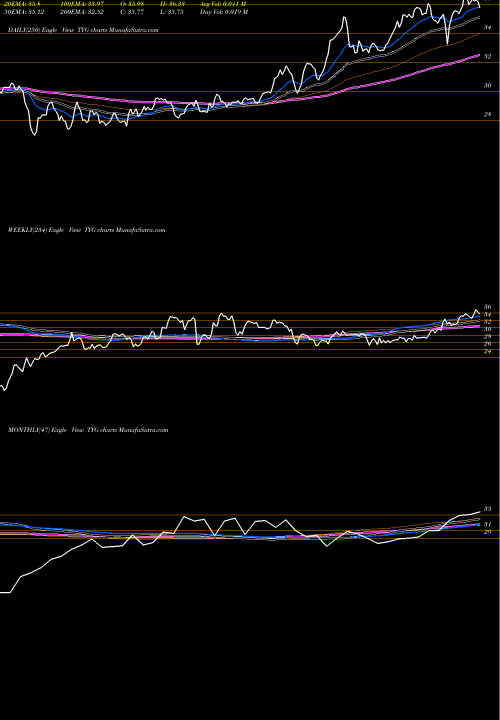 Trend of Tortoise Energy TYG TrendLines Tortoise Energy Infrastructure Corporation TYG share USA Stock Exchange 