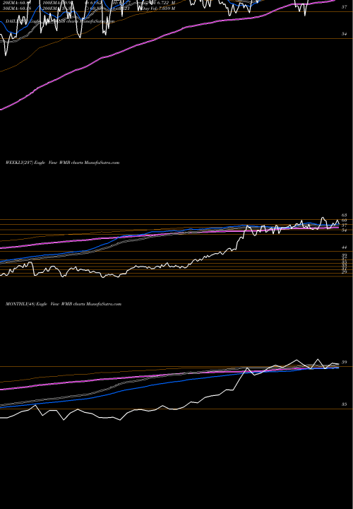 Trend of Williams Companies WMB TrendLines Williams Companies, Inc. (The) WMB share USA Stock Exchange 
