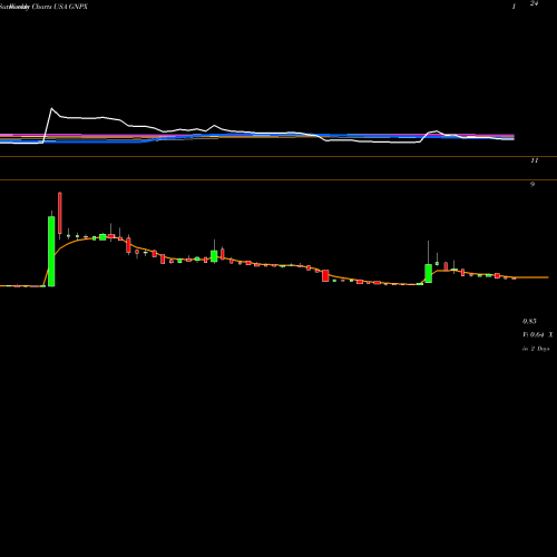 Weekly charts share GNPX Genprex, Inc. USA Stock exchange 