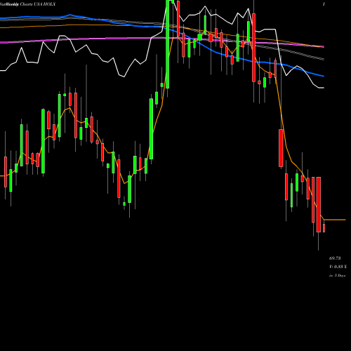 Weekly charts share HOLX Hologic, Inc. USA Stock exchange 