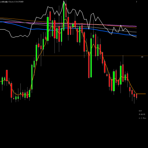 Weekly charts share INMB INmune Bio Inc. USA Stock exchange 