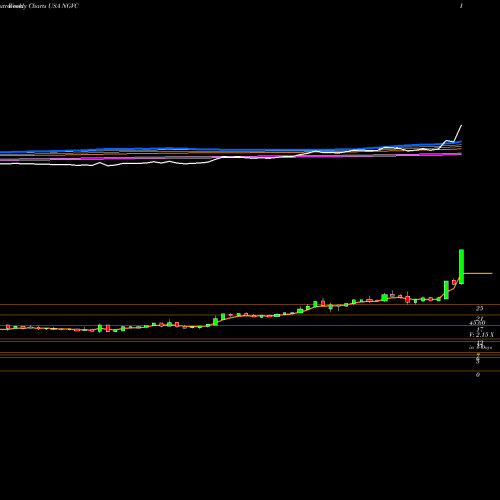 Weekly charts share NGVC Natural Grocers By Vitamin Cottage, Inc. USA Stock exchange 