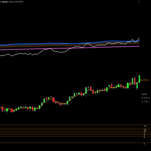 Weekly charts share SCVL Shoe Carnival, Inc. USA Stock exchange 